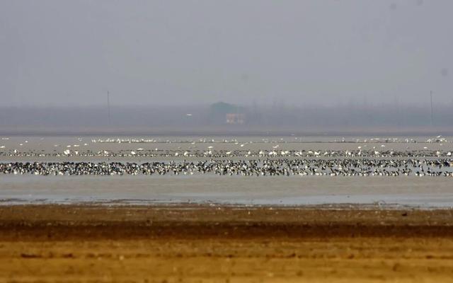 开云注册-新闻8点见丨争冠！U23国足进军亚洲杯决赛；北京迈入“五万亿之城”